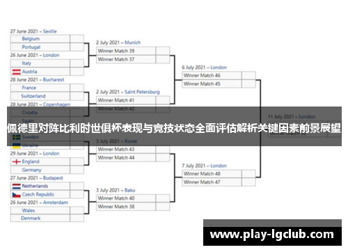 佩德里对阵比利时世俱杯表现与竞技状态全面评估解析关键因素前景展望